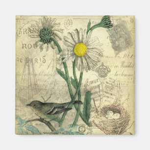 Íman Margaridas vintage