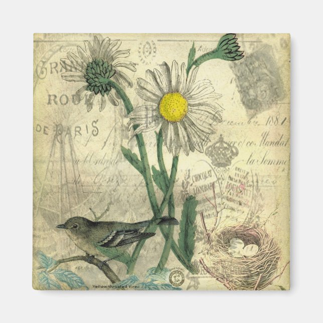 Íman Margaridas vintage (Frente)