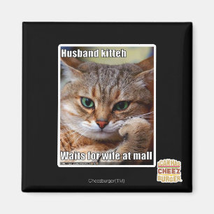 Íman Marido Kitteh