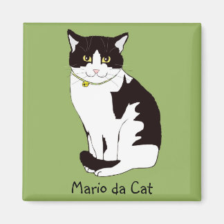 Íman Mario da Cat