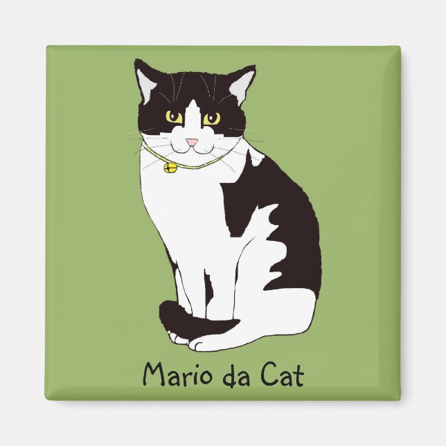 Íman Mario da Cat (Frente)