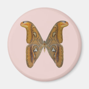 Íman Mariposa Atlas