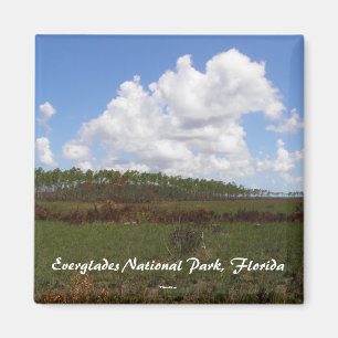 Íman Marismas parque nacional, Florida