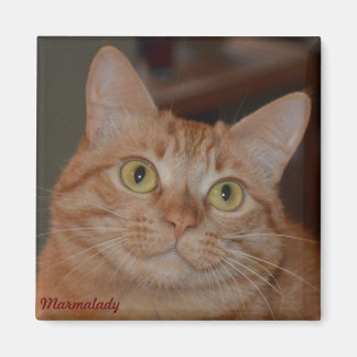 Íman Marmalady e "O Sorriso"