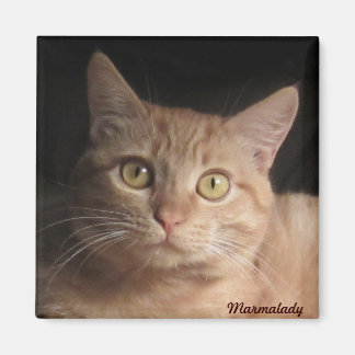 Íman Marmalady Magnet