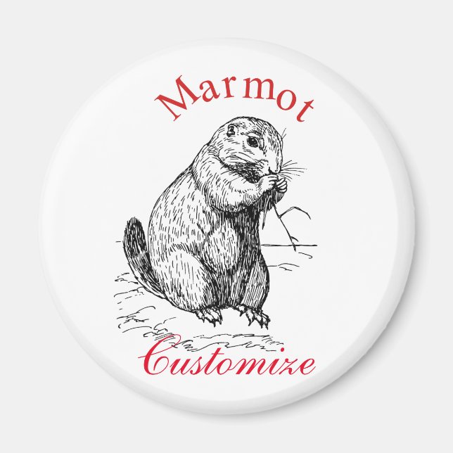 Íman Marmot Marmot Thunder_Cove (Frente)