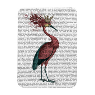 Íman Marsala Heron