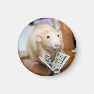 Íman Marty Mouse adora ler o Magnet