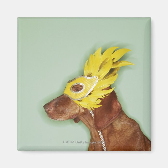 Íman Máscara de visto de cães (Frente)