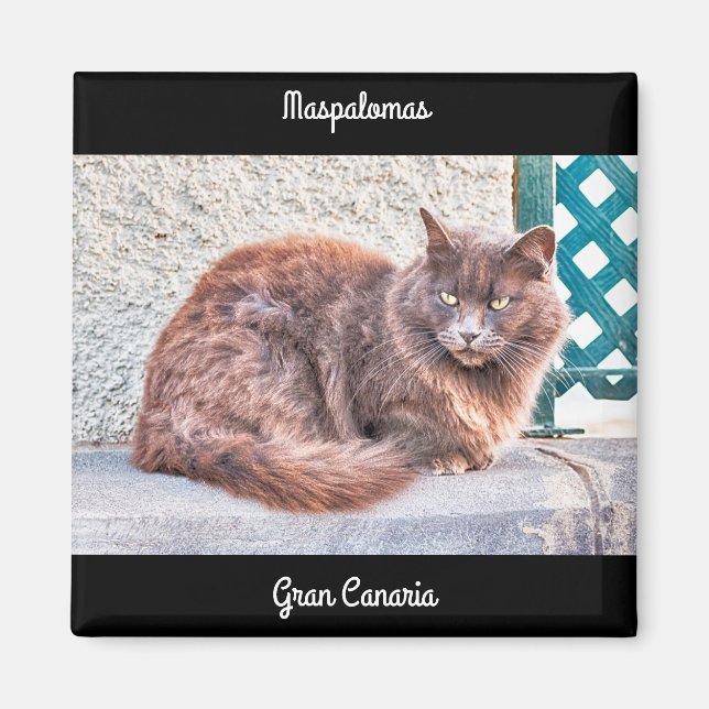 Íman Maspalomas Cat (Frente)