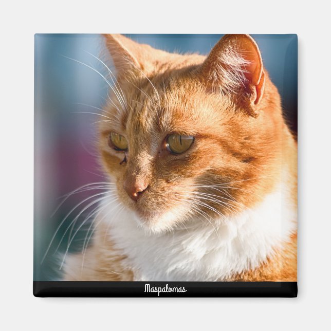 Íman Maspalomas Cat (Frente)