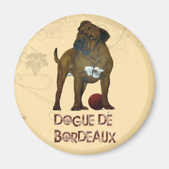 Íman Mastiff Francês (Frente)