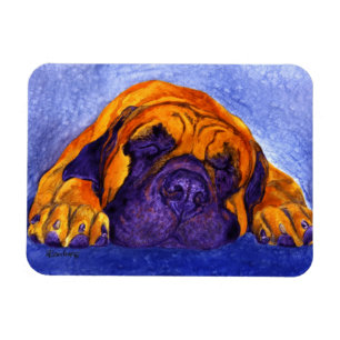 Íman Mastiff Magnet - "Brutus"