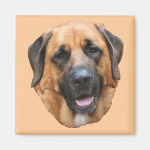 Íman Mastiff Mix Dog Magnet