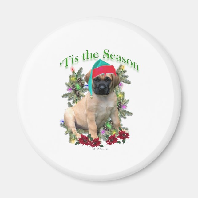Íman Mastiff "Tis (Frente)