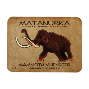 Íman Matanuska Mammoth Muenster Cheese