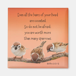 Íman Matthew Magnet de 10:30-31 2"