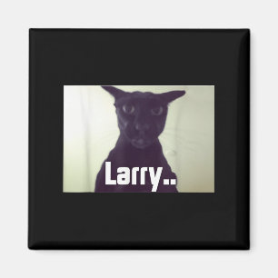 Íman Mau Larry Meme Larry Cat Meme Maldito Memes Brainr