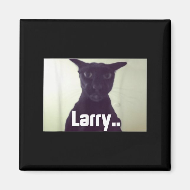 Íman Mau Larry Meme Larry Cat Meme Maldito Memes Brainr (Frente)