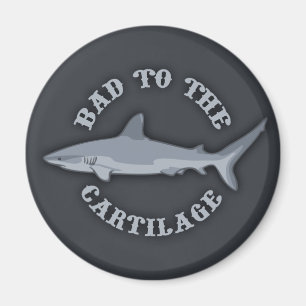 Íman Mau para a Cartilagem