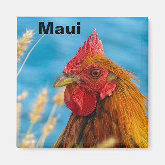 Íman Maui Chicken Magnet
