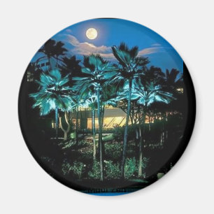 Íman Maui perfeito
