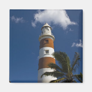 Íman Maurícia, Maurícia Ocidental, Belle Vue, Albion