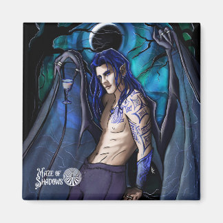 Íman Maze de Shadows Magnet