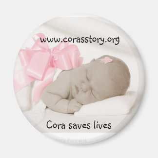 Íman McCormick 8240 S IG, Cora salva vidas, www.co..