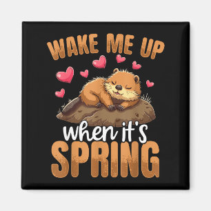 Íman Me Acorda Quando Chegar a Primavera Funny Groundho