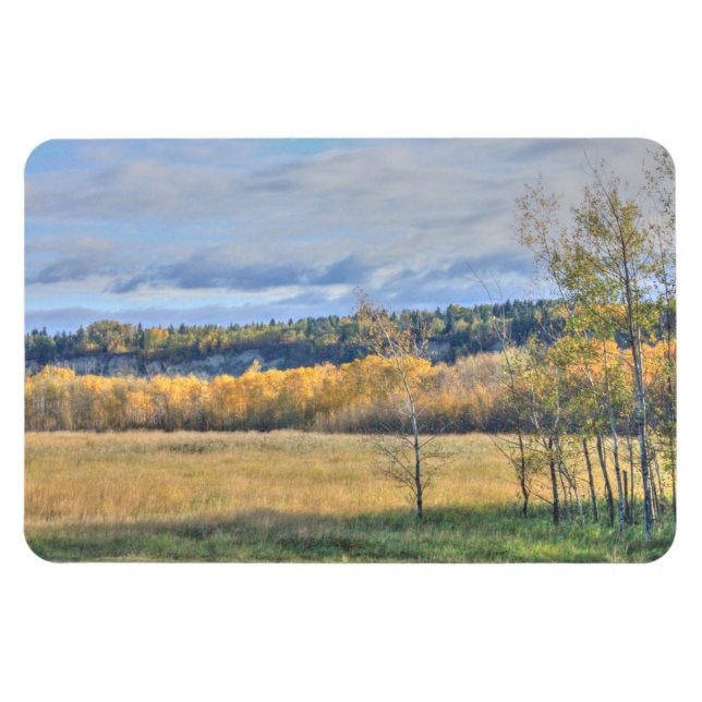 Íman Meadow com Aspens (Horizontal)