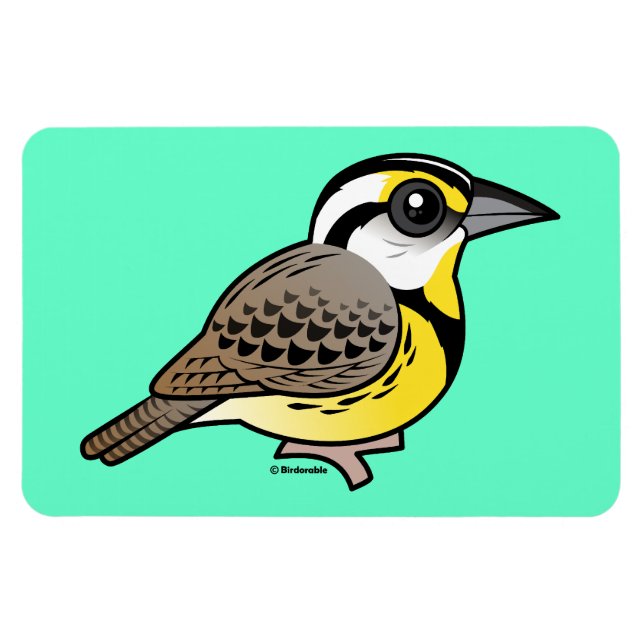 Íman Meadowlark Oriental (Horizontal)