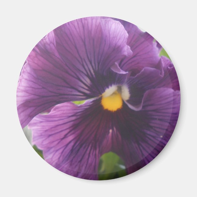 Íman Mecânica (Frente)