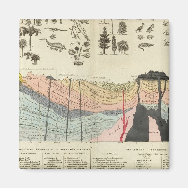 Íman Média de uma parte da crosta terrestre (Frente)