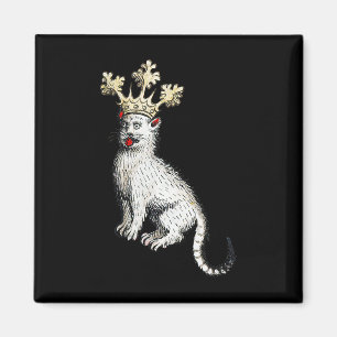Íman Média Idade Média Medieval do Rei Gato