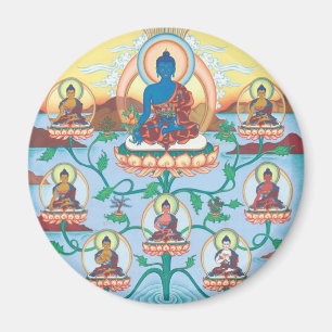Íman Medicina Buddhas do ÍMÃ 8