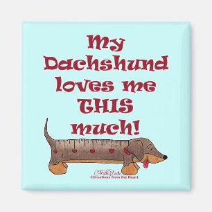 Íman Medidor do amor do Dachshund