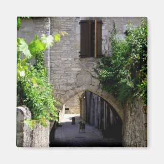 Íman Medieval, ímã