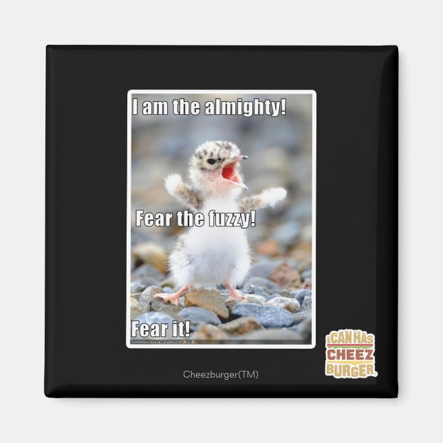 Íman Medo do Felpudo! (Frente)