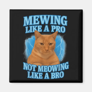 Íman Medo Não Significa Memória De Gato Engraçado
