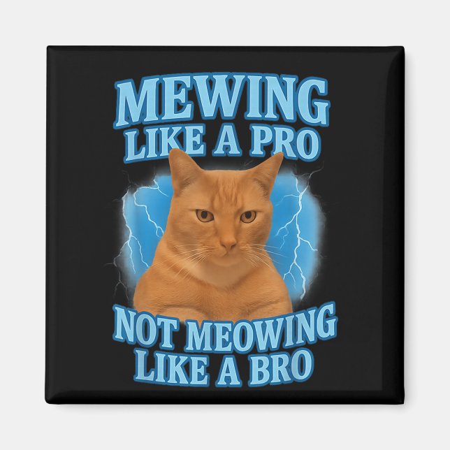 Íman Medo Não Significa Memória De Gato Engraçado (Frente)