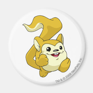 Íman Meerca Amarelo