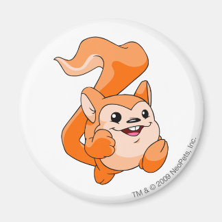 Íman Meerca Orange