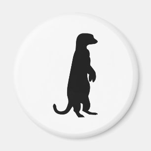 Íman Meerkat