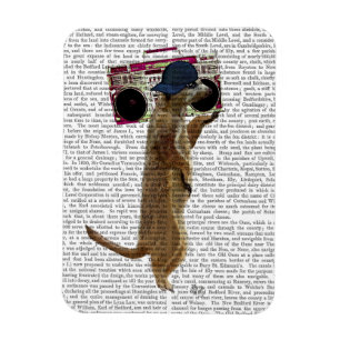 Íman Meerkat com Boom Box Ghetto Blaster 2