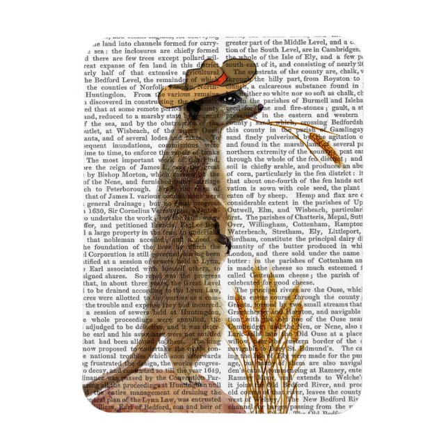 Íman Meerkat Cowboy (Vertical)