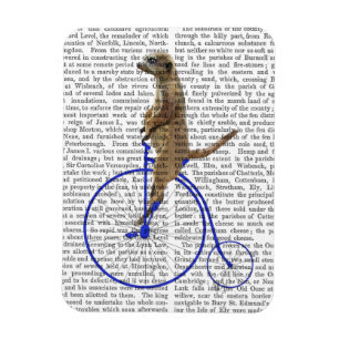 Íman Meerkat Em Azul Penny Farthing