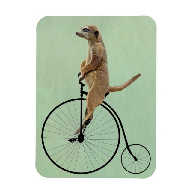 Íman Meerkat em Black Penny Farthing 2 (Vertical)