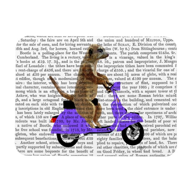 Íman Meerkat em Lilac Moped (Horizontal)