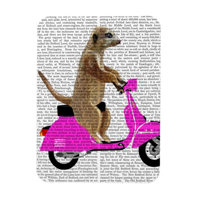 Íman Meerkat em Moped Rosa (Vertical)